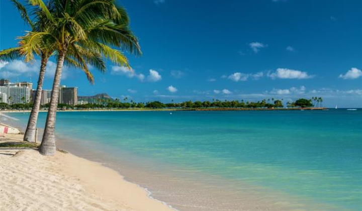 1388 Ala Moana Boulevard,Honolulu,Hawaii,96814,3 ベッドルーム ベッドルーム,3 バスルームバスルーム,コンド / タウンハウス,Ala Moana,6,18650248