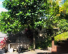 1643 Ihiloa Loop,Honolulu,Hawaii,96821,5 Bedrooms Bedrooms,4 BathroomsBathrooms,Single family,Ihiloa,18203524