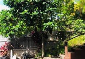 1643 Ihiloa Loop,Honolulu,Hawaii,96821,5 Bedrooms Bedrooms,4 BathroomsBathrooms,Single family,Ihiloa,18203524