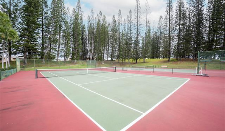 46-058 Aliikane Place,Kaneohe,Hawaii,96744,1 Bedroom Bedrooms,1 BathroomBathrooms,Condo/Townhouse,Aliikane,1,18669928