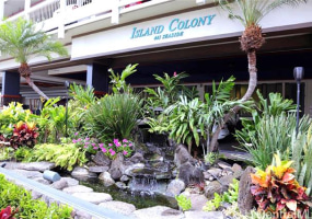 445 Seaside Avenue,Honolulu,Hawaii,96815,1 BathroomBathrooms,Condo/Townhouse,Seaside,11,18209380