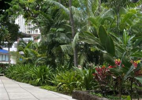 425 Ena Road,Honolulu,Hawaii,96815,2 ベッドルーム ベッドルーム,1 バスルームバスルーム,コンド / タウンハウス,Ena,5,18214978