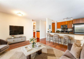 55 Judd Street,Honolulu,Hawaii,96817,1 Bedroom Bedrooms,1 BathroomBathrooms,Condo/Townhouse,Judd,15,18216828