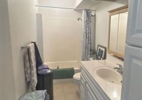 2465 Kuhio Avenue,Honolulu,Hawaii,96815,2 ベッドルーム ベッドルーム,2 バスルームバスルーム,コンド / タウンハウス,Kuhio,5,18224775