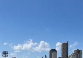 620 Mccully Street,Honolulu,Hawaii,96826,2 ベッドルーム ベッドルーム,1 バスルームバスルーム,コンド / タウンハウス,Mccully,5,18226226