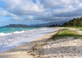 145 Kaimoani Way,Kailua,Hawaii,96734,3 ベッドルーム ベッドルーム,2 バスルームバスルーム,一戸建て,Kaimoani,18245670