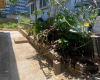 914 Kinau Street,Honolulu,Hawaii,96814,4 Bedrooms Bedrooms,4 BathroomsBathrooms,Single family,Kinau,18246078