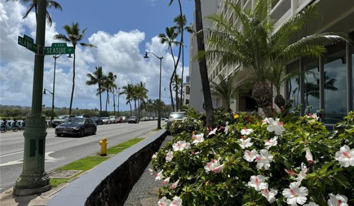 445 Seaside Avenue,Honolulu,Hawaii,96815,1 バスルームバスルーム,コンド / タウンハウス,Seaside,32,18700470