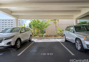 927 Prospect Street,Honolulu,Hawaii,96822,2 ベッドルーム ベッドルーム,2 バスルームバスルーム,コンド / タウンハウス,Prospect,12,18251998