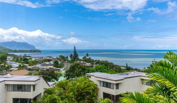 46-058 Aliikane Place,Kaneohe,Hawaii,96744,2 ベッドルーム ベッドルーム,2 バスルームバスルーム,コンド / タウンハウス,Aliikane,2,18710478