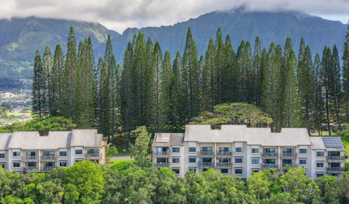 46-054 Puulena Street,Kaneohe,Hawaii,96744,2 ベッドルーム ベッドルーム,2 バスルームバスルーム,コンド / タウンハウス,Puulena,2,19418822