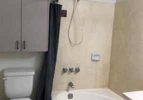 445 Seaside Avenue,Honolulu,Hawaii,96815,1 ベッドルーム ベッドルーム,1 バスルームバスルーム,コンド / タウンハウス,Seaside,14,18259311