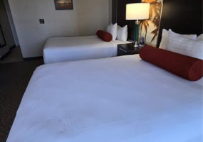 1850 Ala Moana Boulevard,Honolulu,Hawaii,96815,1 BathroomBathrooms,Condo/Townhouse,Ala Moana,9,18264657
