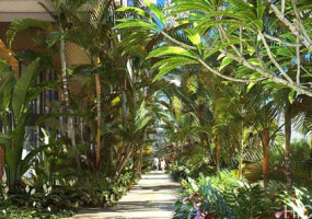 1388 Ala Moana Boulevard,Honolulu,Hawaii,96814,2 ベッドルーム ベッドルーム,2 バスルームバスルーム,コンド / タウンハウス,Ala Moana,6,18266559