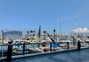 1777 Ala Moana Boulevard,Honolulu,Hawaii,96815,1 ベッドルーム ベッドルーム,1 バスルームバスルーム,コンド / タウンハウス,Ala Moana,21,18724361
