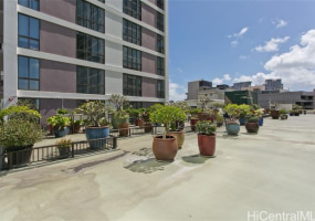 700 Richards Street,Honolulu,Hawaii,96813,1 Bedroom Bedrooms,1 BathroomBathrooms,Condo/Townhouse,Richards,11,18268829