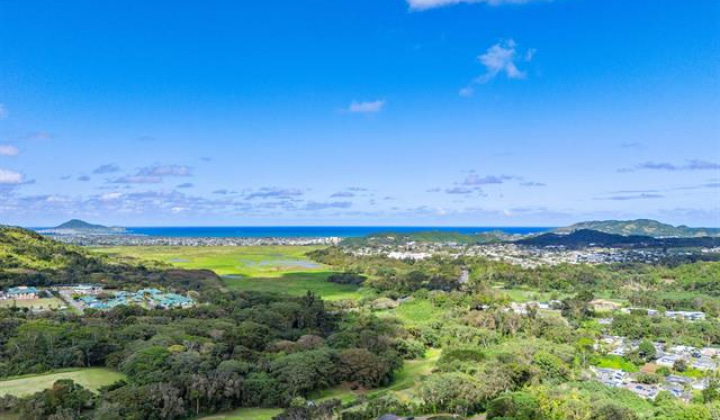 969 Auloa Road,Kailua,Hawaii,96734,8 ベッドルーム ベッドルーム,6 バスルームバスルーム,一戸建て,Auloa,19432148