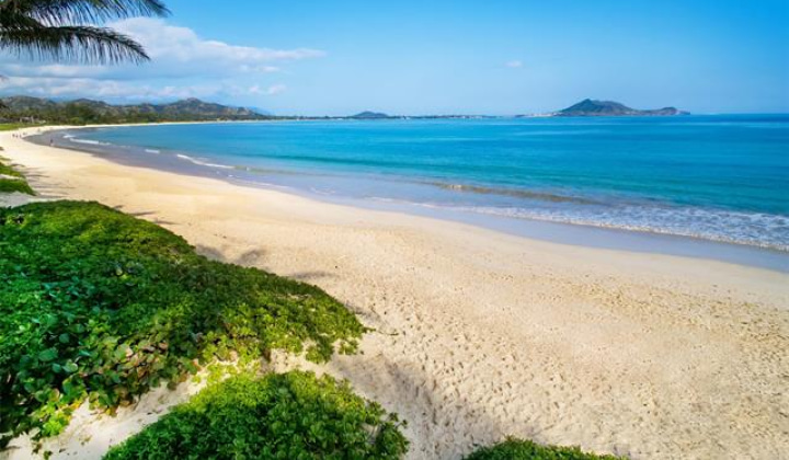 200 Kalaheo Avenue,Kailua,Hawaii,96734,4 Bedrooms Bedrooms,4 BathroomsBathrooms,Single family,Kalaheo,18271227