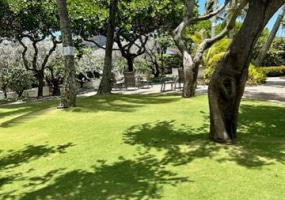 250 Kawaihae Street,Honolulu,Hawaii,96825,2 ベッドルーム ベッドルーム,2 バスルームバスルーム,コンド / タウンハウス,Kawaihae,18,18727545