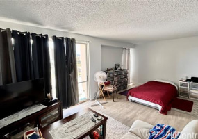 1655 Makaloa Street,Honolulu,Hawaii,96814,1 Bedroom Bedrooms,1 BathroomBathrooms,Condo/Townhouse,Makaloa,10,18272138