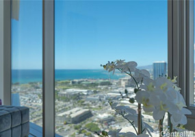1001 Queen Street,Honolulu,Hawaii,96814,1 ベッドルーム ベッドルーム,1 バスルームバスルーム,コンド / タウンハウス,Queen,31,18730626