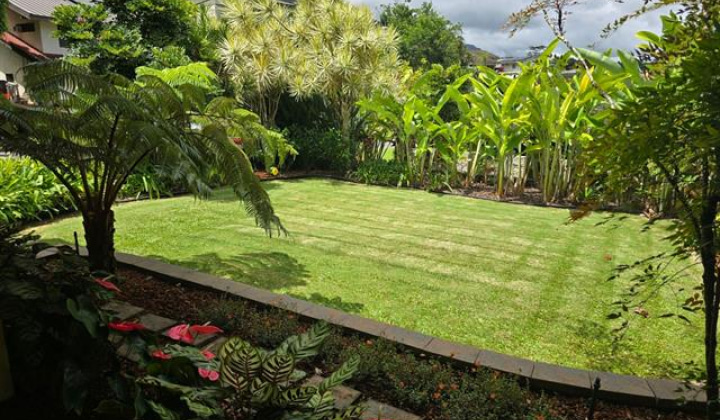 1280 Puualoha Street,Kailua,Hawaii,96734,4 ベッドルーム ベッドルーム,2 バスルームバスルーム,一戸建て,Puualoha,18274680