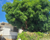 3168 Harding Avenue,Honolulu,Hawaii,96816,3 Bedrooms Bedrooms,1 BathroomBathrooms,Single family,Harding,18278002