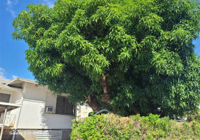 3168 Harding Avenue,Honolulu,Hawaii,96816,3 Bedrooms Bedrooms,1 BathroomBathrooms,Single family,Harding,18278002