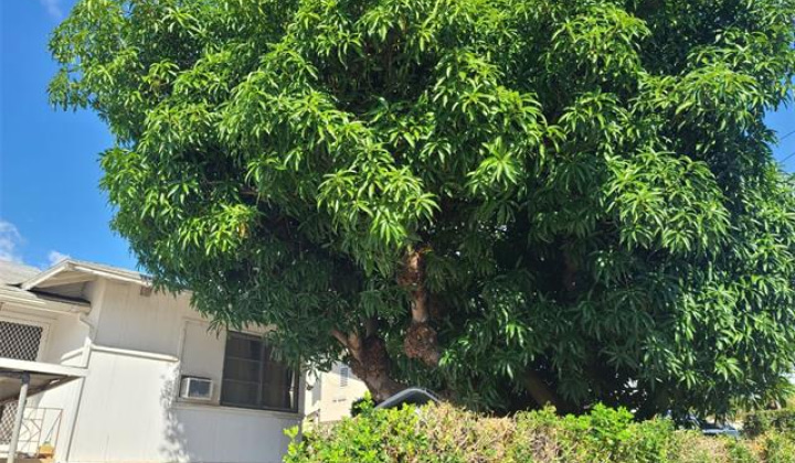 3168 Harding Avenue,Honolulu,Hawaii,96816,3 Bedrooms Bedrooms,1 BathroomBathrooms,Single family,Harding,18278002