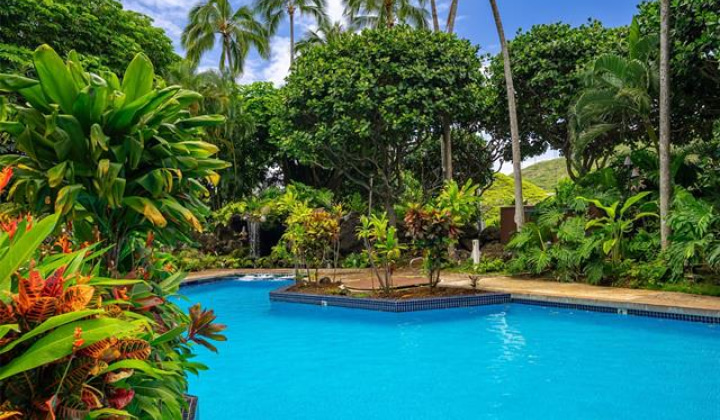 555 Hahaione Street,Honolulu,Hawaii,96825,1 Bedroom Bedrooms,2 BathroomsBathrooms,Condo/Townhouse,Hahaione,9,19449518