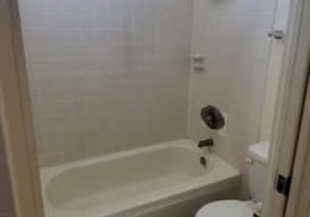 1555 Pohaku Street,Honolulu,Hawaii,96817,1 Bedroom Bedrooms,1 BathroomBathrooms,Condo/Townhouse,Pohaku,6,18278637