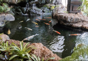 201 Ohua Avenue,Honolulu,Hawaii,96815,1 ベッドルーム ベッドルーム,1 バスルームバスルーム,コンド / タウンハウス,Ohua,18,18280716
