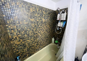 1750 Kalakaua Avenue,Honolulu,Hawaii,96826,1 BathroomBathrooms,Condo/Townhouse,Kalakaua,18,18281772
