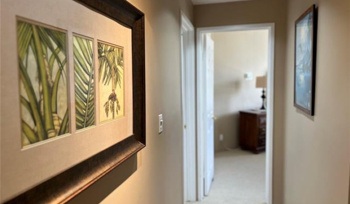 300 Wai Nani Way,Honolulu,Hawaii,96815,2 ベッドルーム ベッドルーム,2 バスルームバスルーム,コンド / タウンハウス,Wai Nani,24,18738370
