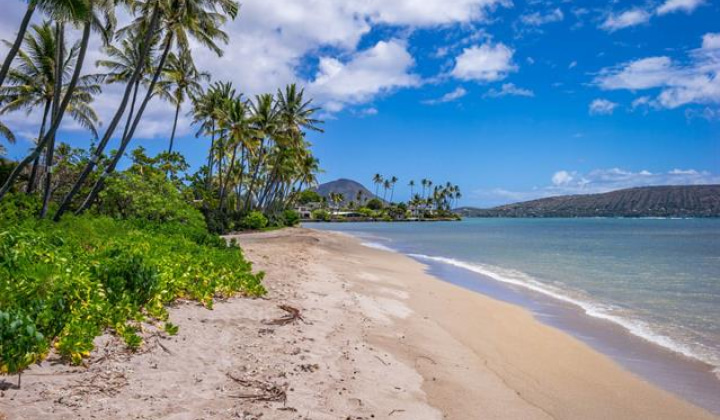 5641 Kalanianaole Highway,Honolulu,Hawaii,96821,5 ベッドルーム ベッドルーム,5 バスルームバスルーム,一戸建て,Kalanianaole,18283265