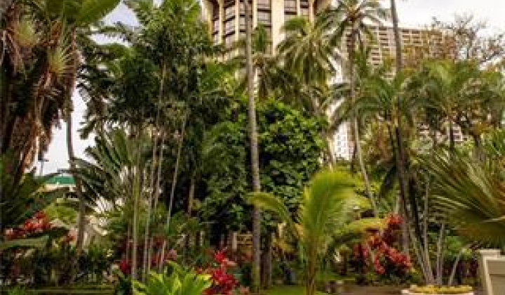 300 Wai Nani Way,Honolulu,Hawaii,96815,1 ベッドルーム ベッドルーム,1 バスルームバスルーム,コンド / タウンハウス,Wai Nani,11,18741645