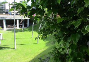 2888 Ala Ilima Street,Honolulu,Hawaii,96818,1 BathroomBathrooms,Condo/Townhouse,Ala Ilima,9,18290678