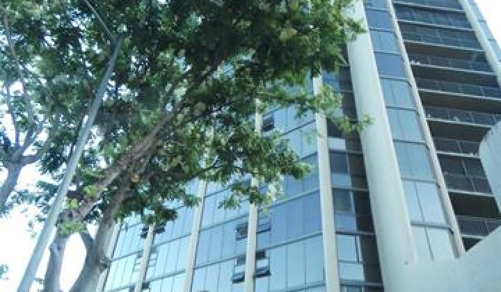 2101 Nuuanu Avenue,Honolulu,Hawaii,96817,1 Bedroom Bedrooms,1 BathroomBathrooms,Condo/Townhouse,Nuuanu,16,18291652