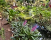 300 Wai Nani Way,Honolulu,Hawaii,96815,2 Bedrooms Bedrooms,2 BathroomsBathrooms,Condo/Townhouse,Wai Nani,24,18292193