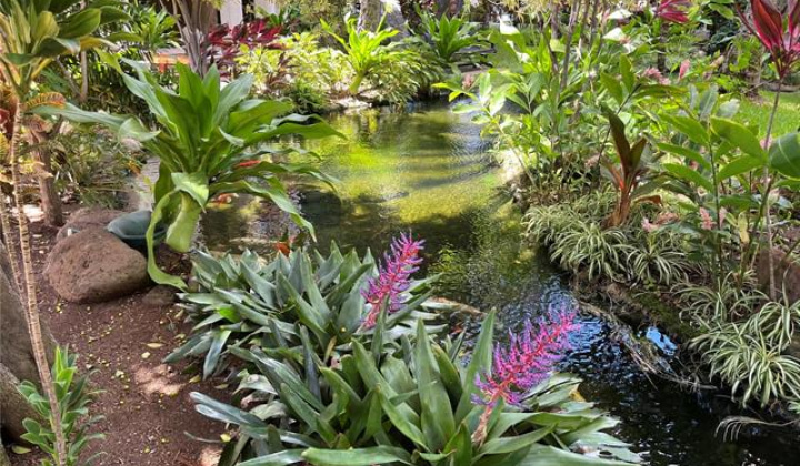 300 Wai Nani Way,Honolulu,Hawaii,96815,2 Bedrooms Bedrooms,2 BathroomsBathrooms,Condo/Townhouse,Wai Nani,24,18292193