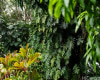 3242 Pelekane Drive,Honolulu,Hawaii,96817,一戸建て,Pelekane,19469347
