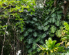3242 Pelekane Drive,Honolulu,Hawaii,96817,一戸建て,Pelekane,19469347