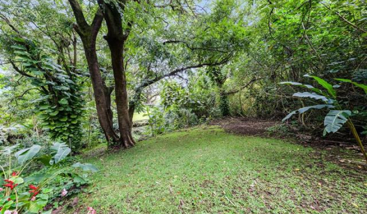 3242 Pelekane Drive,Honolulu,Hawaii,96817,一戸建て,Pelekane,19469347