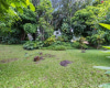 3242 Pelekane Drive,Honolulu,Hawaii,96817,一戸建て,Pelekane,19469347