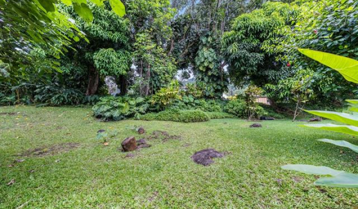 3242 Pelekane Drive,Honolulu,Hawaii,96817,一戸建て,Pelekane,19469347