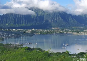 46-160 Kiowai Street,Kaneohe,Hawaii,96744,1 ベッドルーム ベッドルーム,1 バスルームバスルーム,コンド / タウンハウス,Kiowai,1,18295141