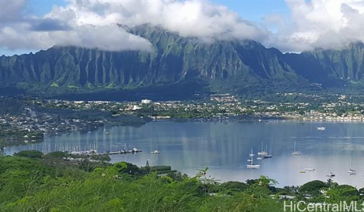 46-160 Kiowai Street,Kaneohe,Hawaii,96744,1 ベッドルーム ベッドルーム,1 バスルームバスルーム,コンド / タウンハウス,Kiowai,1,18295141