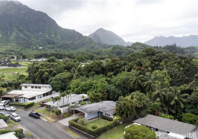 969 Lunahooko Place,Kailua,Hawaii,96734,2 ベッドルーム ベッドルーム,2 バスルームバスルーム,一戸建て,Lunahooko,18755462