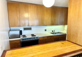 1519 Nuuanu Avenue,Honolulu,Hawaii,96817,2 ベッドルーム ベッドルーム,1 バスルームバスルーム,コンド / タウンハウス,Nuuanu,15,18295276
