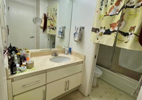 201 Ohua Avenue,Honolulu,Hawaii,96815,1 Bedroom Bedrooms,1 BathroomBathrooms,Condo/Townhouse,Ohua,7,18311075